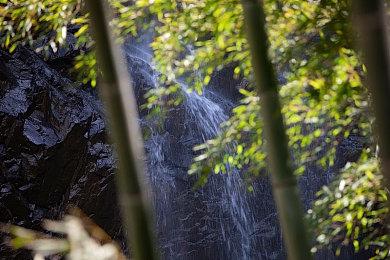 《青岚物语》Steam页面上线 和风幻想农场经营