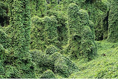 《勇者斗恶龙X离线版》存档数据可继承至在线版