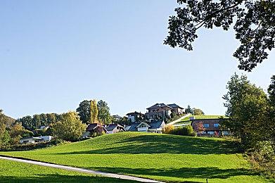 TGA 2022：《皮克敏4》将于2023年发售